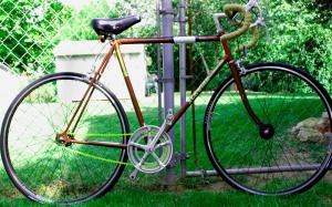 Bike_Dolt